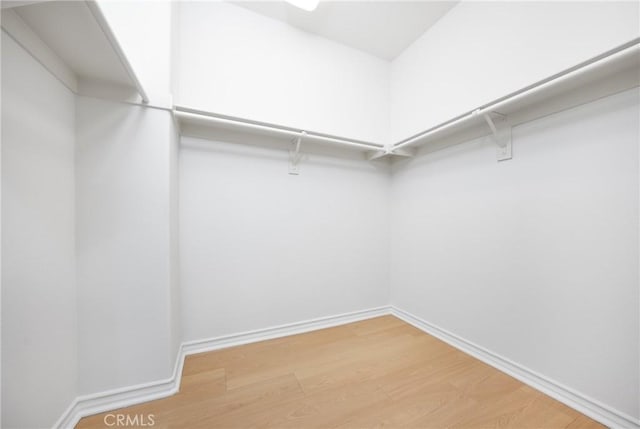 spacious closet featuring light wood-style flooring