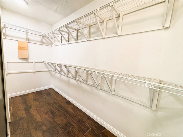 spacious closet with wood finished floors