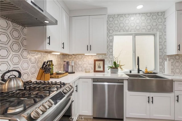 kitchen with a sink, stainless steel appliances, range hood, and white cabinets