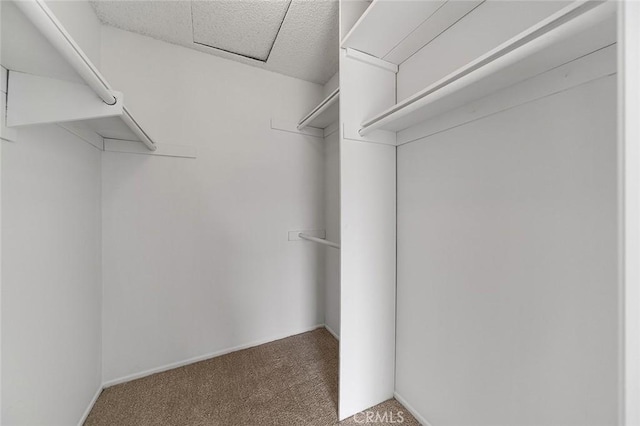 walk in closet featuring carpet