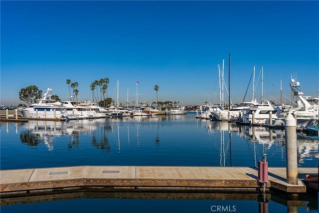 dock area with a water view