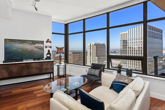 living area featuring baseboards, a city view, wood finished floors, and rail lighting