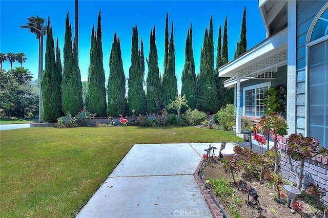 view of yard with a patio