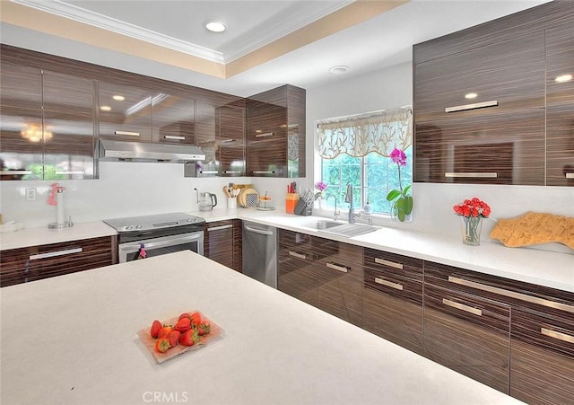 kitchen featuring crown molding, under cabinet range hood, appliances with stainless steel finishes, modern cabinets, and a sink