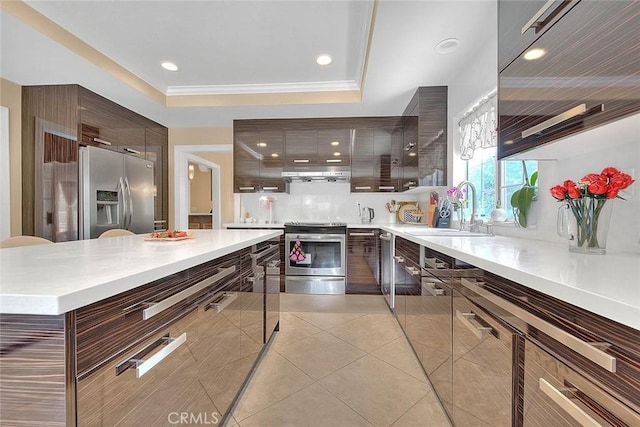 kitchen featuring extractor fan, a tray ceiling, appliances with stainless steel finishes, modern cabinets, and a sink