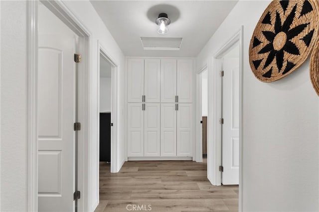 hallway with light wood-style flooring and attic access