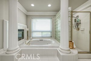 full bath featuring ornate columns, a shower stall, a glass covered fireplace, crown molding, and a bath