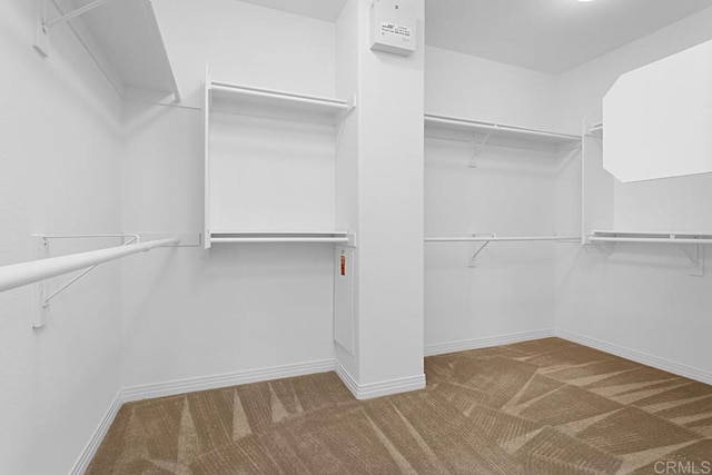 walk in closet with carpet floors