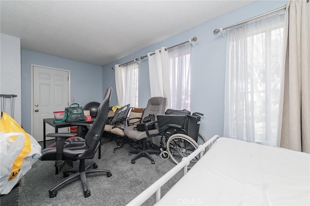 bedroom with carpet floors and a textured ceiling