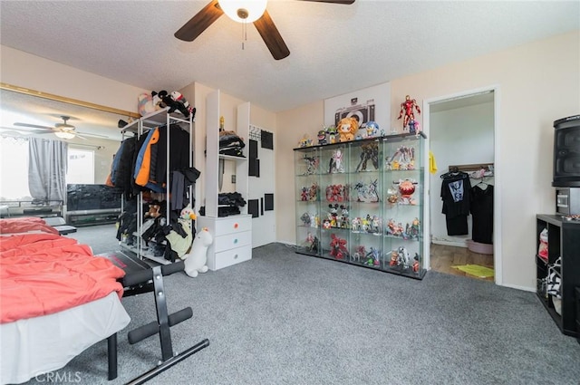 interior space with carpet flooring and a textured ceiling