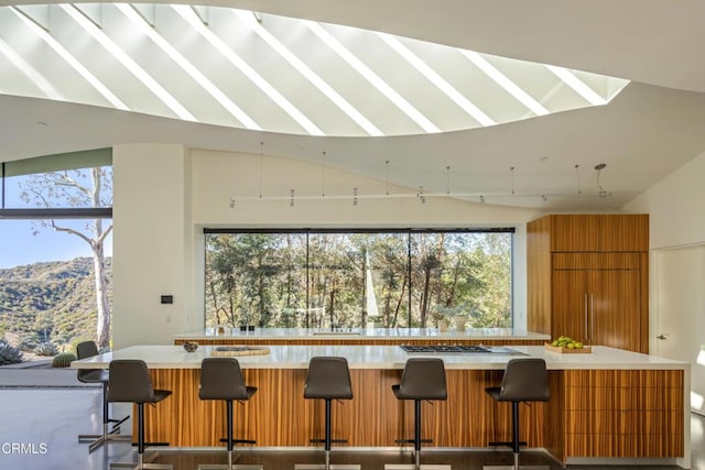 kitchen featuring brown cabinetry, a spacious island, light countertops, modern cabinets, and a mountain view