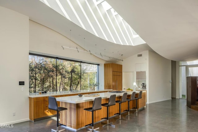 bar with baseboards, visible vents, and high vaulted ceiling