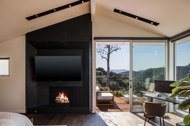 living area featuring wood finished floors, a fireplace, and vaulted ceiling