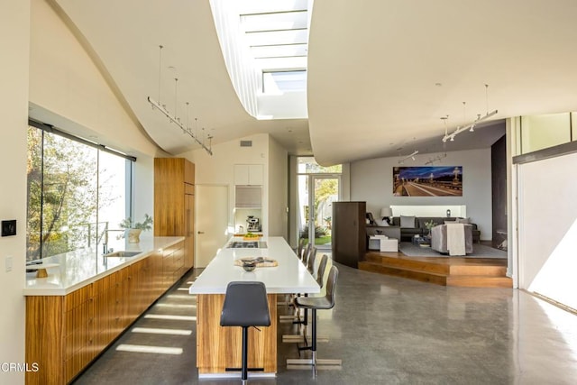 kitchen featuring plenty of natural light, brown cabinets, and light countertops