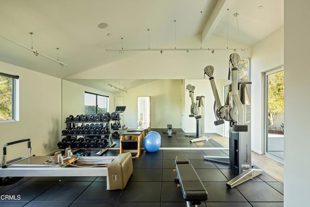 gym with baseboards, a healthy amount of sunlight, and vaulted ceiling