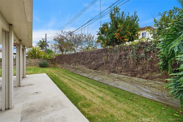 view of yard with a patio and a fenced backyard