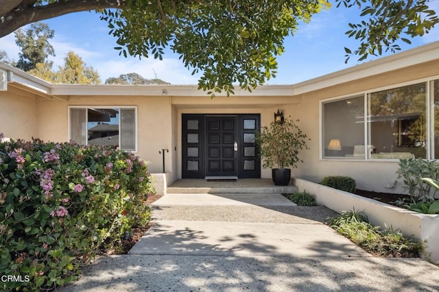 doorway to property featuring stucco siding