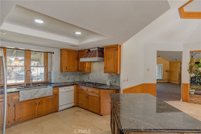 kitchen featuring premium range hood, a sink, a tray ceiling, dishwasher, and stainless steel gas cooktop