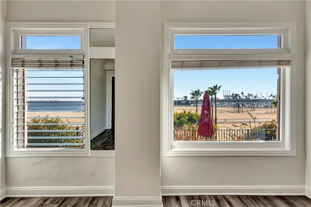 details with baseboards and wood finished floors