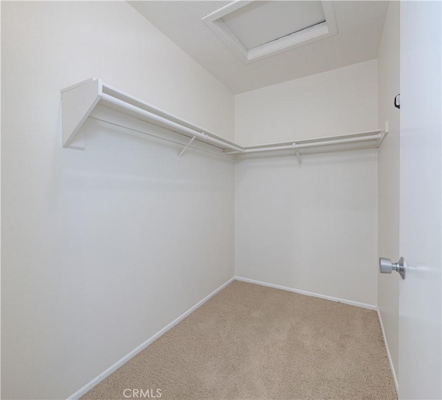 spacious closet featuring attic access and carpet flooring