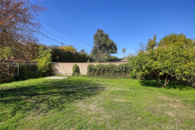 view of yard featuring fence