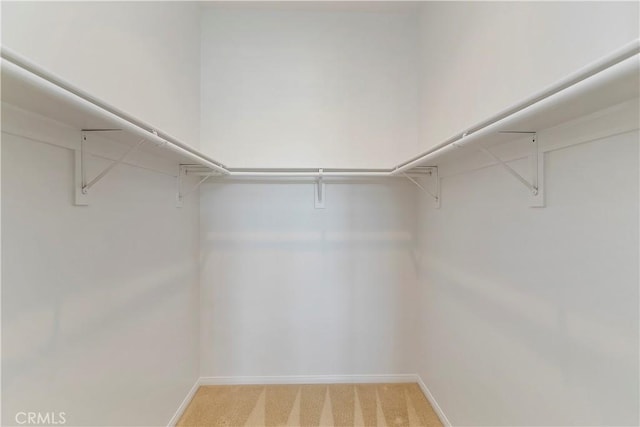 walk in closet featuring light carpet