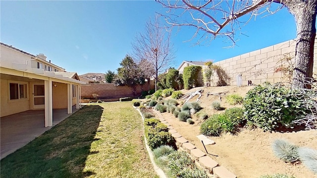 view of yard featuring a patio and a fenced backyard