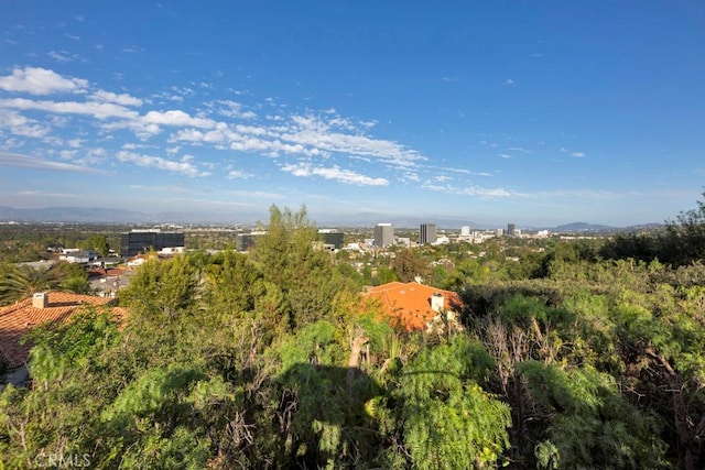 drone / aerial view featuring a view of city