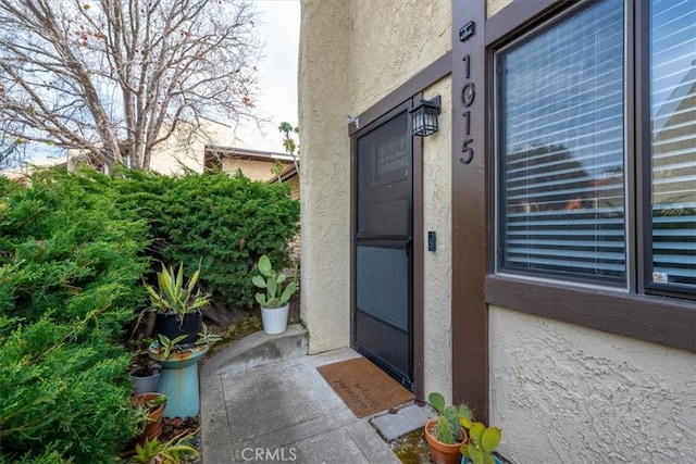 doorway to property featuring stucco siding