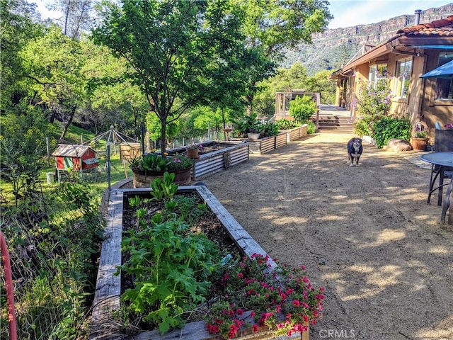 view of yard with a vegetable garden