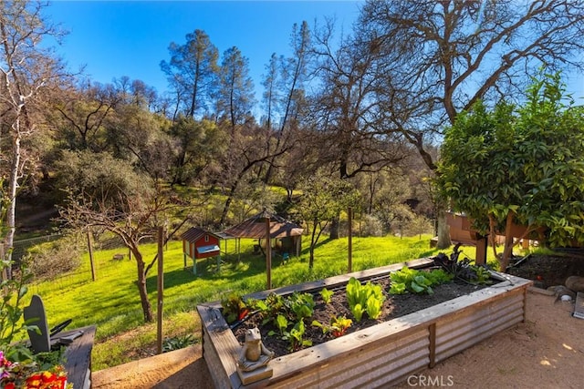 view of home's community featuring a lawn and a garden