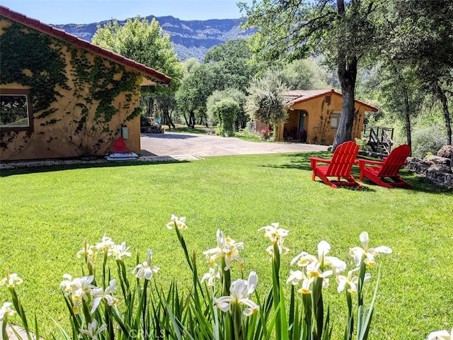 view of yard with a mountain view