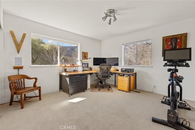 office space with plenty of natural light and carpet floors