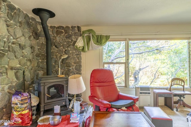 living area featuring a wood stove