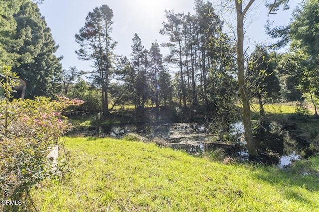 view of yard featuring a wooded view