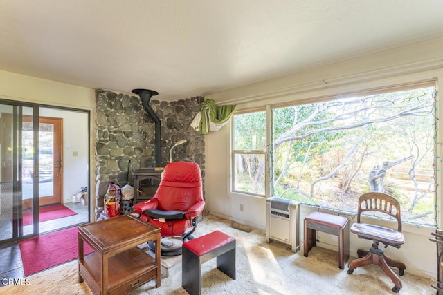 living area featuring a wood stove