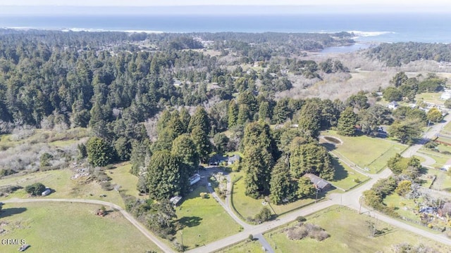 birds eye view of property featuring a water view and a forest view