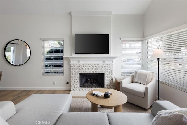 living room featuring wood finished floors, a fireplace, and baseboards