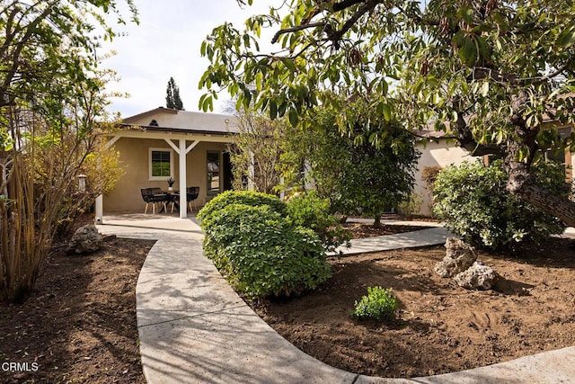 view of yard featuring a patio