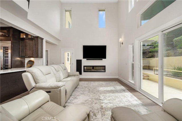 living area with baseboards, a healthy amount of sunlight, a glass covered fireplace, and light wood finished floors