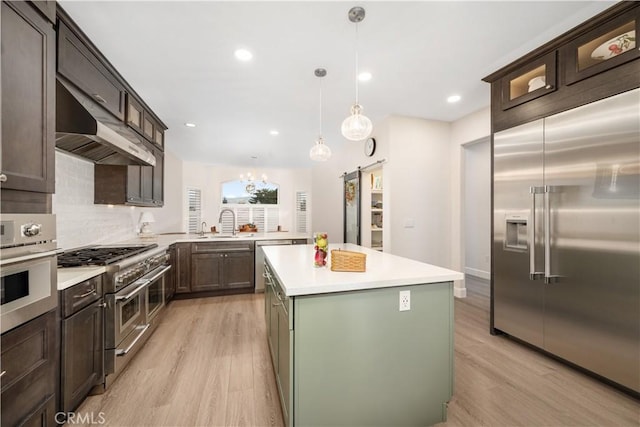 kitchen featuring high quality appliances, under cabinet range hood, a barn door, light wood-style floors, and decorative backsplash