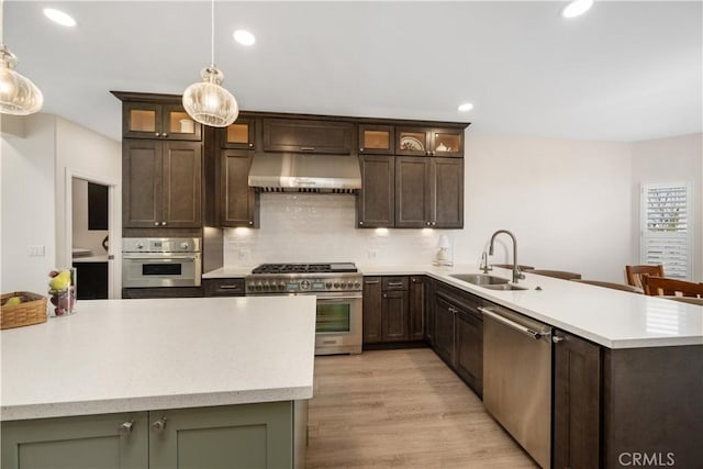 kitchen featuring a peninsula, a sink, decorative backsplash, appliances with stainless steel finishes, and exhaust hood