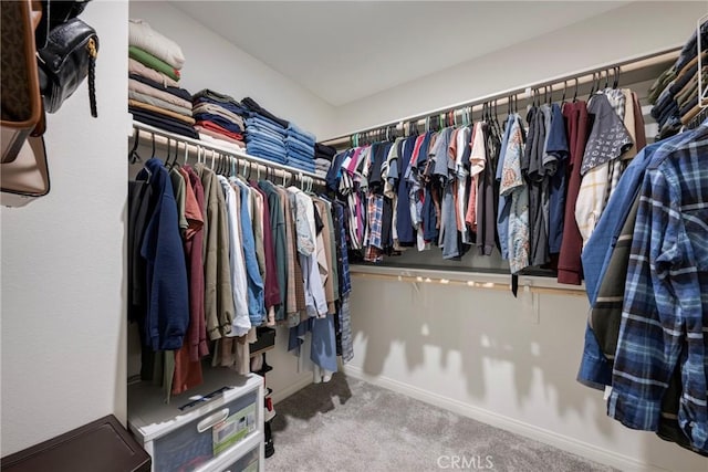 walk in closet with carpet flooring