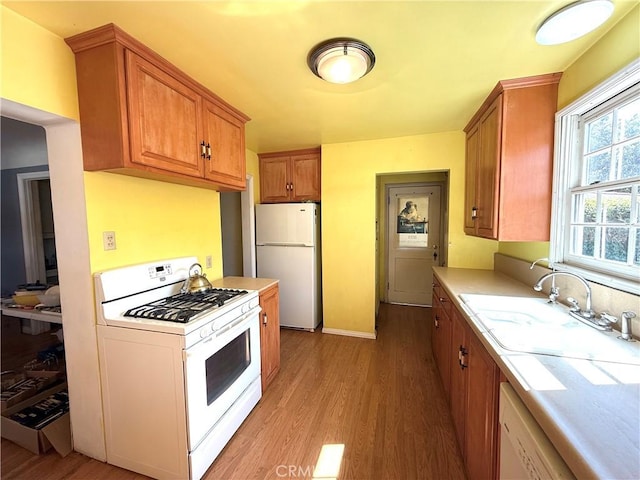 kitchen with white appliances, brown cabinetry, light wood finished floors, a sink, and light countertops