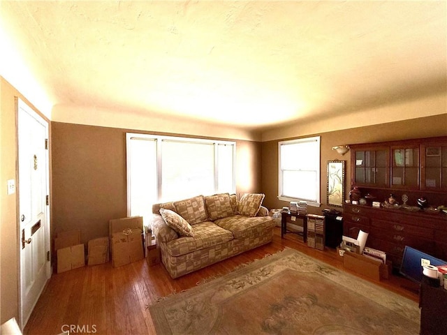 living area featuring wood finished floors