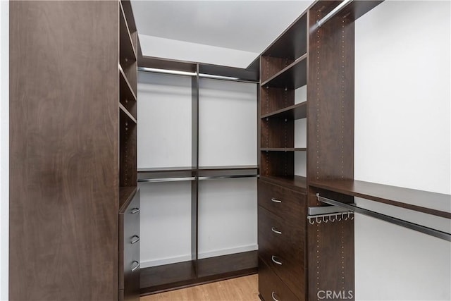 spacious closet featuring light wood-style flooring