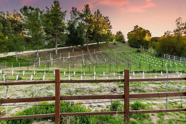 35715 Calle Nopal, Temecula, CA 92592 - yard at dusk featuring a rural view