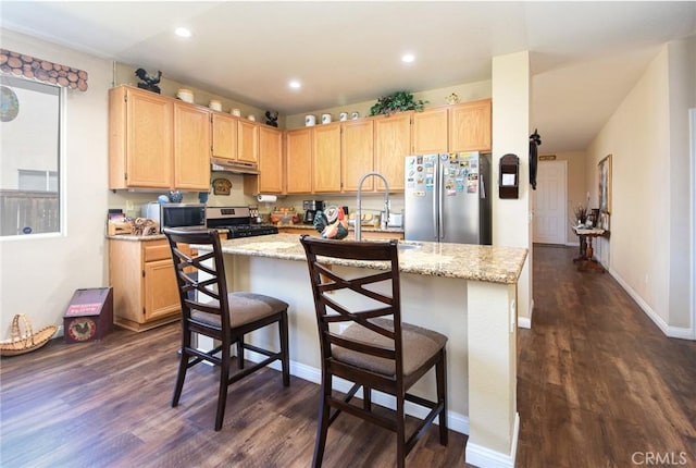 kitchen featuring light brown cabinets, dark wood finished floors, a sink, stainless steel appliances, and under cabinet range hood