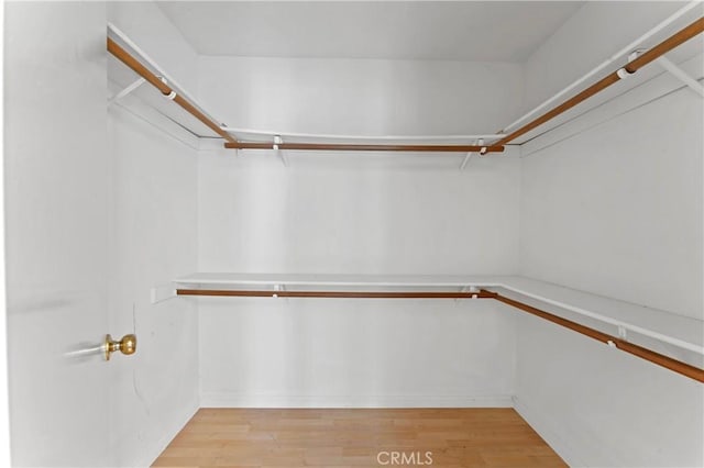 spacious closet featuring light wood finished floors