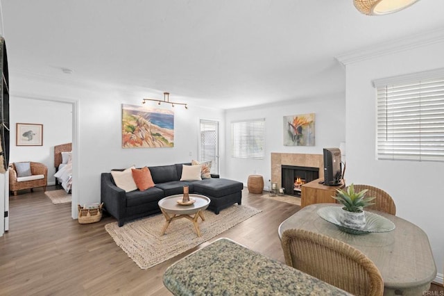 living room featuring a fireplace with flush hearth, wood finished floors, and crown molding